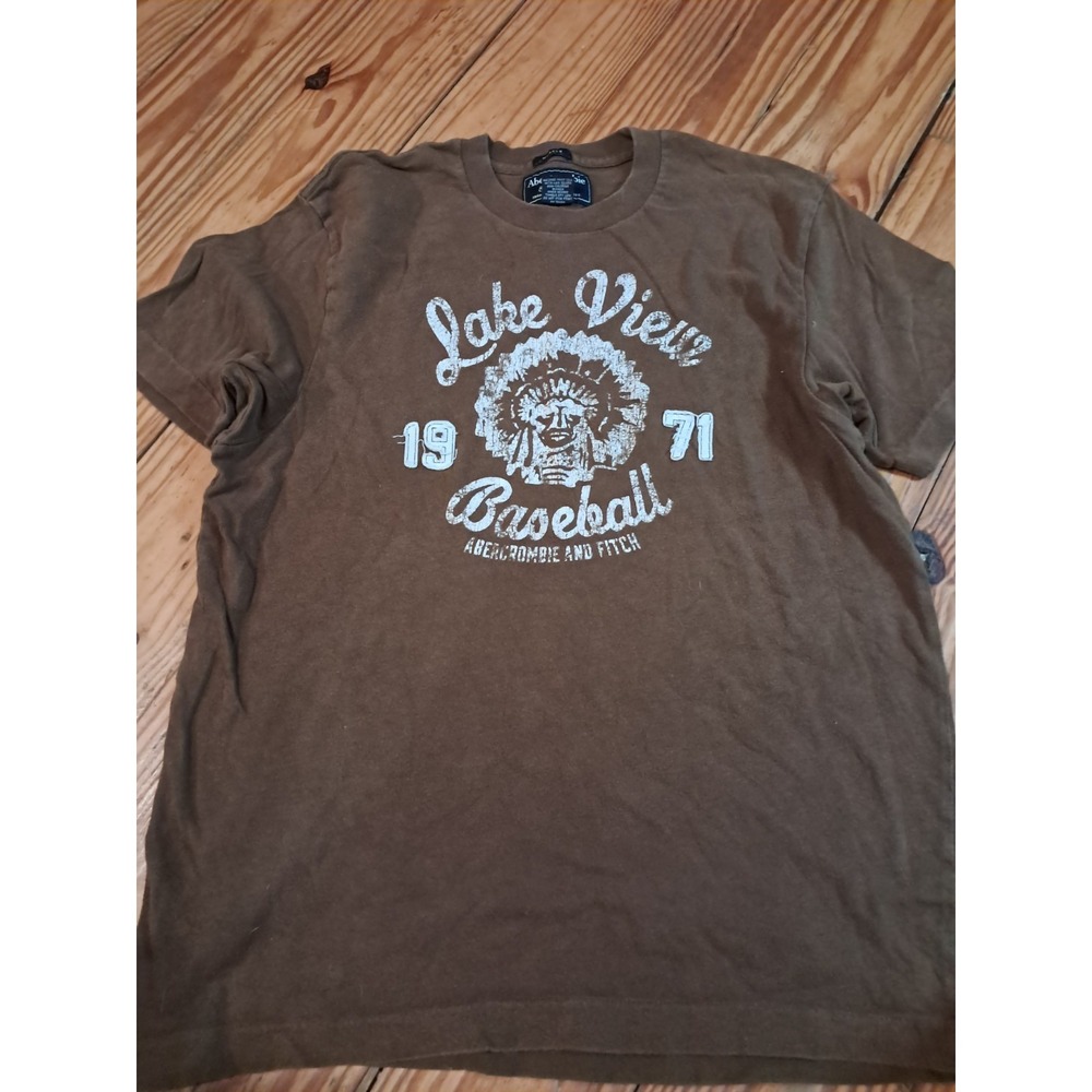 Abercrombie & Fitch y2k Graphic T-Shirt Size L Brown Garment Dyed j4